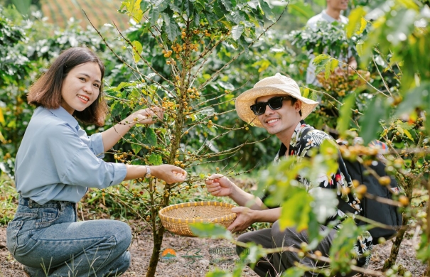 Cà phê Khe Sanh Quảng Trị - Đặc sản ít ai biết của vùng đất hoa lửa một thời