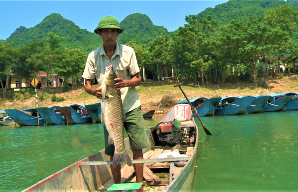 Cá trắm sông Son - Sản vật của vùng đất kỳ quan Phong Nha Quảng Bình