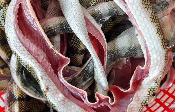 Thưởng thức đẻn biển Quảng Bình để hành trình khám phá trọn vẹn