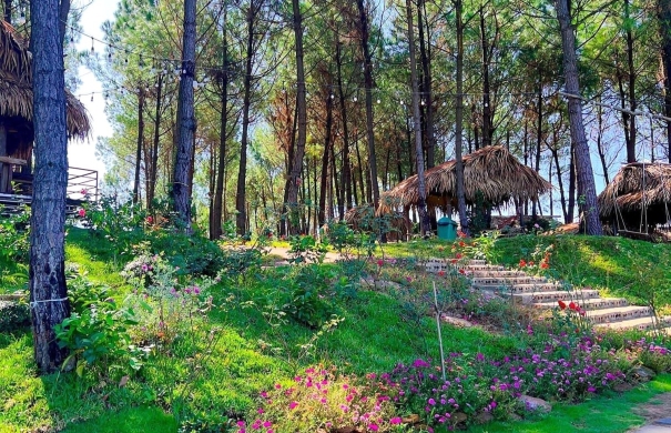 Đồi Mây Đắng - Điểm cắm trại siêu chill tại Quảng Bình