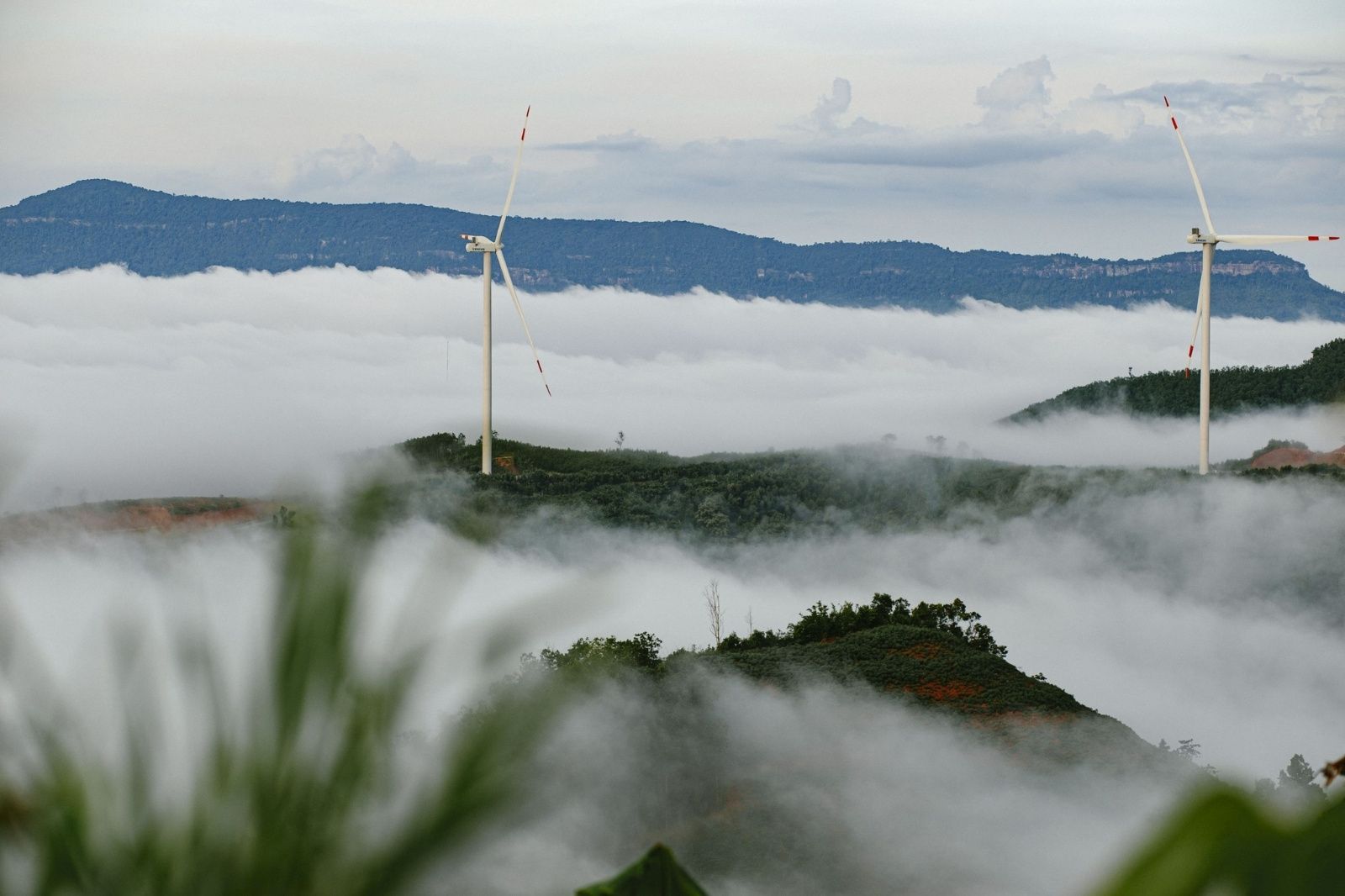 Trekking săn mây đỉnh Cu Vơ khiến bạn choáng ngợp bởi vẻ đẹp ấn tượng