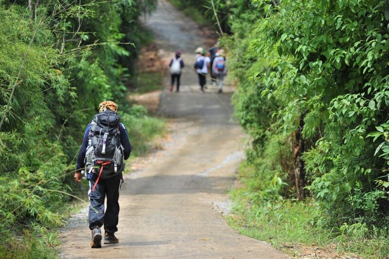 Khám phá đỉnh Cu Vơ là một hành trình trekking dài 5-7 tiếng