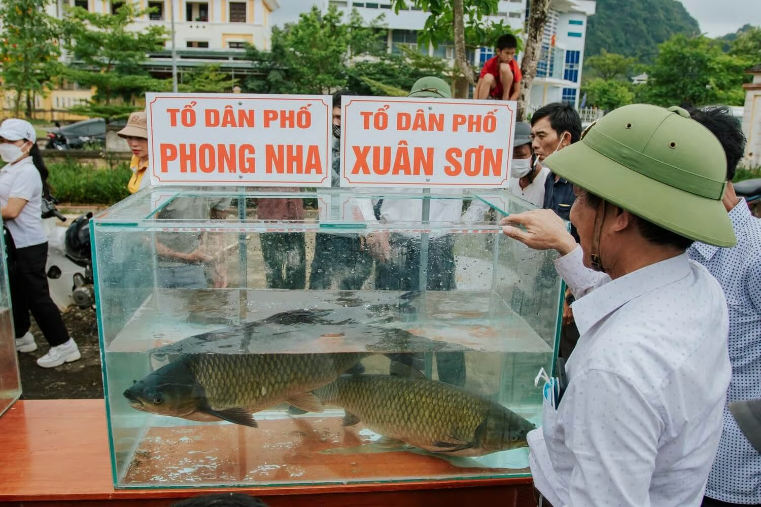 Lễ hội cá trắm sông Son được tổ chức vào lễ 30/4-1/5 hằng năm